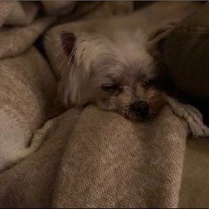 Meet your Posher, Delaney